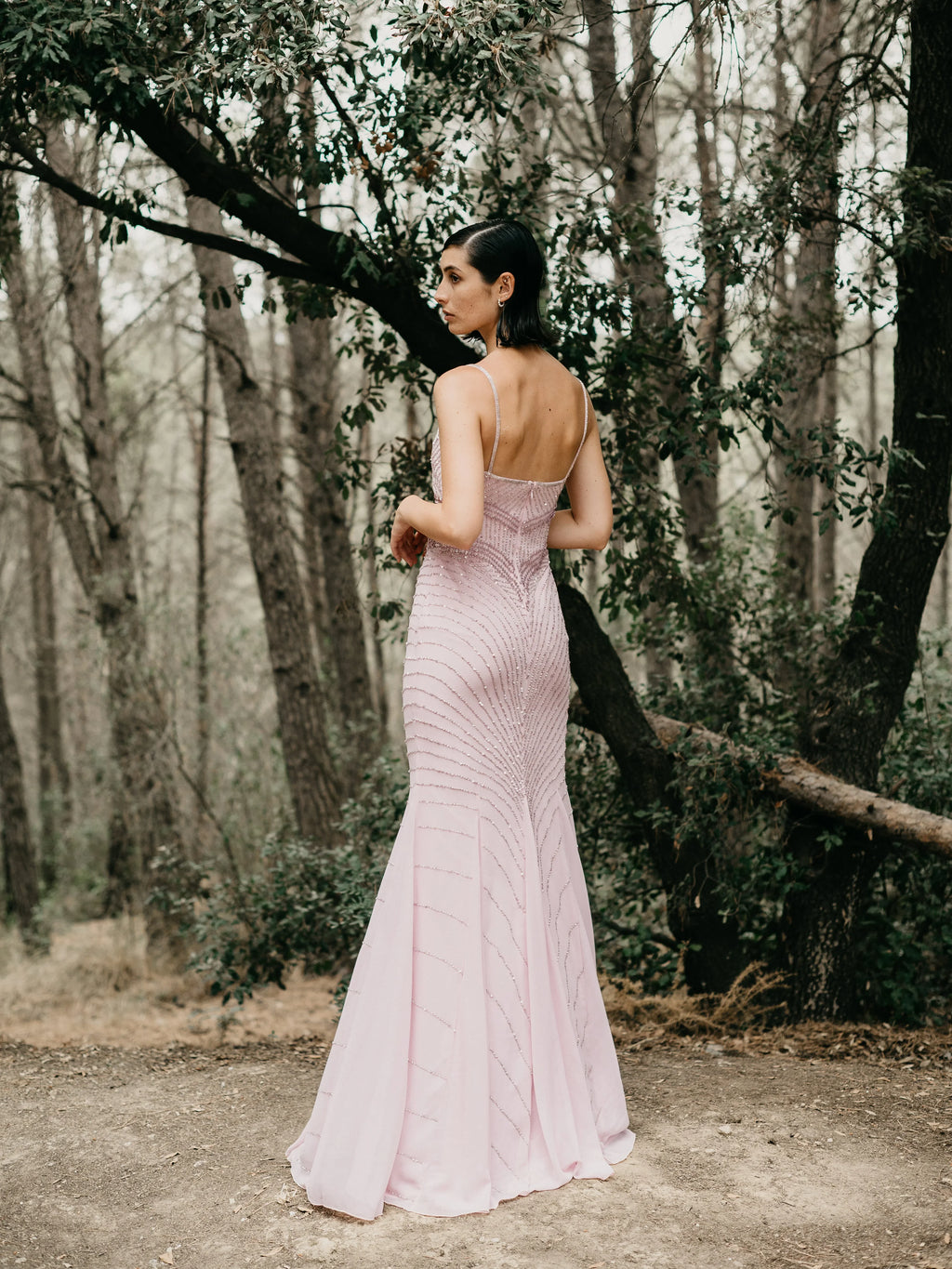 Vestido AITANA MAXI MINK - Vestido Largo Bordado Pedrería